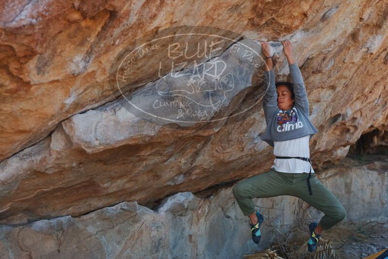 Bouldering in Hueco Tanks on 02/01/2020 with Blue Lizard Climbing and Yoga

Filename: SRM_20200201_1159560.jpg
Aperture: f/4.5
Shutter Speed: 1/250
Body: Canon EOS-1D Mark II
Lens: Canon EF 50mm f/1.8 II