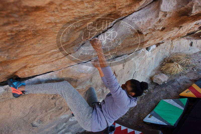 Bouldering in Hueco Tanks on 02/01/2020 with Blue Lizard Climbing and Yoga

Filename: SRM_20200201_1204530.jpg
Aperture: f/3.5
Shutter Speed: 1/320
Body: Canon EOS-1D Mark II
Lens: Canon EF 16-35mm f/2.8 L