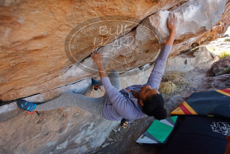 Bouldering in Hueco Tanks on 02/01/2020 with Blue Lizard Climbing and Yoga

Filename: SRM_20200201_1205010.jpg
Aperture: f/4.0
Shutter Speed: 1/320
Body: Canon EOS-1D Mark II
Lens: Canon EF 16-35mm f/2.8 L