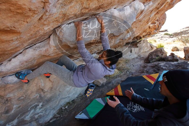 Bouldering in Hueco Tanks on 02/01/2020 with Blue Lizard Climbing and Yoga

Filename: SRM_20200201_1205080.jpg
Aperture: f/4.5
Shutter Speed: 1/320
Body: Canon EOS-1D Mark II
Lens: Canon EF 16-35mm f/2.8 L