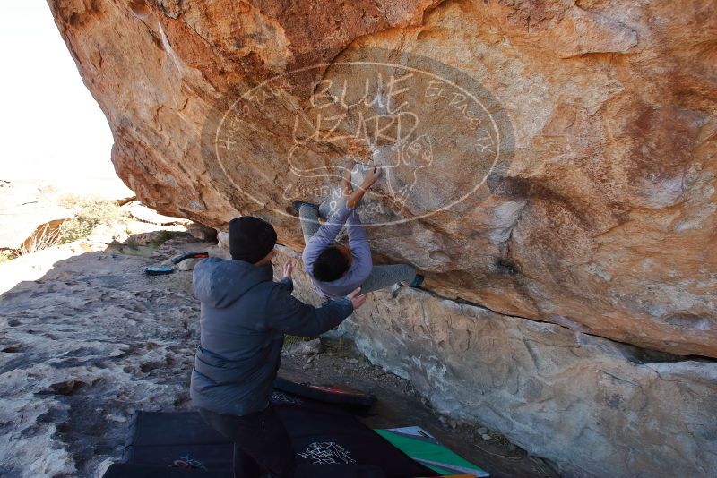 Bouldering in Hueco Tanks on 02/01/2020 with Blue Lizard Climbing and Yoga

Filename: SRM_20200201_1210130.jpg
Aperture: f/6.3
Shutter Speed: 1/250
Body: Canon EOS-1D Mark II
Lens: Canon EF 16-35mm f/2.8 L