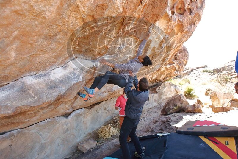 Bouldering in Hueco Tanks on 02/01/2020 with Blue Lizard Climbing and Yoga

Filename: SRM_20200201_1240580.jpg
Aperture: f/4.5
Shutter Speed: 1/250
Body: Canon EOS-1D Mark II
Lens: Canon EF 16-35mm f/2.8 L