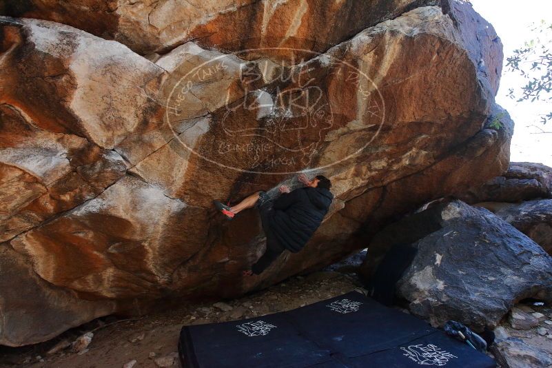 Bouldering in Hueco Tanks on 01/06/2020 with Blue Lizard Climbing and Yoga

Filename: SRM_20200106_1241070.jpg
Aperture: f/5.6
Shutter Speed: 1/320
Body: Canon EOS-1D Mark II
Lens: Canon EF 16-35mm f/2.8 L