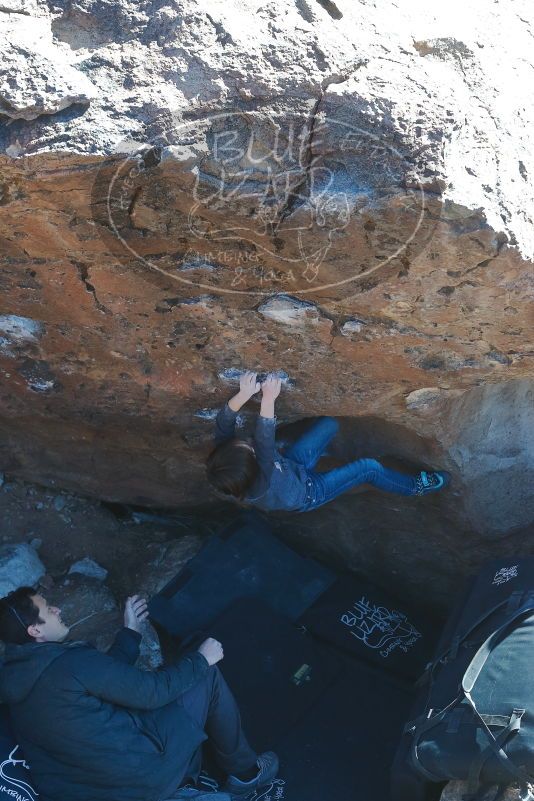 Bouldering in Hueco Tanks on 01/06/2020 with Blue Lizard Climbing and Yoga

Filename: SRM_20200106_1450140.jpg
Aperture: f/5.0
Shutter Speed: 1/320
Body: Canon EOS-1D Mark II
Lens: Canon EF 50mm f/1.8 II