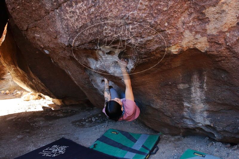 Bouldering in Hueco Tanks on 02/16/2020 with Blue Lizard Climbing and Yoga

Filename: SRM_20200216_1046090.jpg
Aperture: f/5.0
Shutter Speed: 1/250
Body: Canon EOS-1D Mark II
Lens: Canon EF 16-35mm f/2.8 L