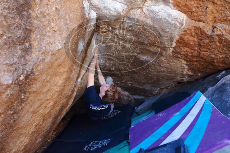 Bouldering in Hueco Tanks on 02/16/2020 with Blue Lizard Climbing and Yoga

Filename: SRM_20200216_1127550.jpg
Aperture: f/4.0
Shutter Speed: 1/250
Body: Canon EOS-1D Mark II
Lens: Canon EF 16-35mm f/2.8 L