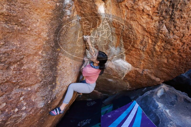 Bouldering in Hueco Tanks on 02/16/2020 with Blue Lizard Climbing and Yoga

Filename: SRM_20200216_1129420.jpg
Aperture: f/5.0
Shutter Speed: 1/250
Body: Canon EOS-1D Mark II
Lens: Canon EF 16-35mm f/2.8 L