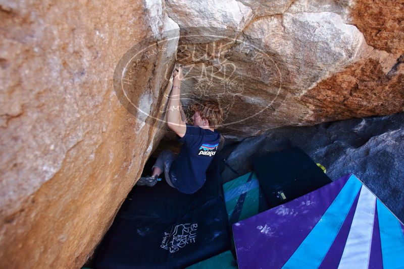 Bouldering in Hueco Tanks on 02/16/2020 with Blue Lizard Climbing and Yoga

Filename: SRM_20200216_1131180.jpg
Aperture: f/4.0
Shutter Speed: 1/250
Body: Canon EOS-1D Mark II
Lens: Canon EF 16-35mm f/2.8 L