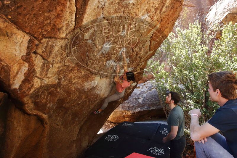 Bouldering in Hueco Tanks on 02/16/2020 with Blue Lizard Climbing and Yoga

Filename: SRM_20200216_1244170.jpg
Aperture: f/5.0
Shutter Speed: 1/250
Body: Canon EOS-1D Mark II
Lens: Canon EF 16-35mm f/2.8 L