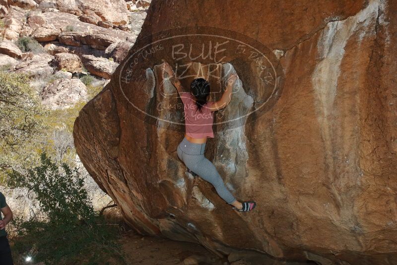 Bouldering in Hueco Tanks on 02/16/2020 with Blue Lizard Climbing and Yoga

Filename: SRM_20200216_1451110.jpg
Aperture: f/8.0
Shutter Speed: 1/250
Body: Canon EOS-1D Mark II
Lens: Canon EF 16-35mm f/2.8 L