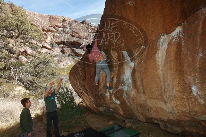 Bouldering in Hueco Tanks on 02/16/2020 with Blue Lizard Climbing and Yoga

Filename: SRM_20200216_1451210.jpg
Aperture: f/8.0
Shutter Speed: 1/250
Body: Canon EOS-1D Mark II
Lens: Canon EF 16-35mm f/2.8 L