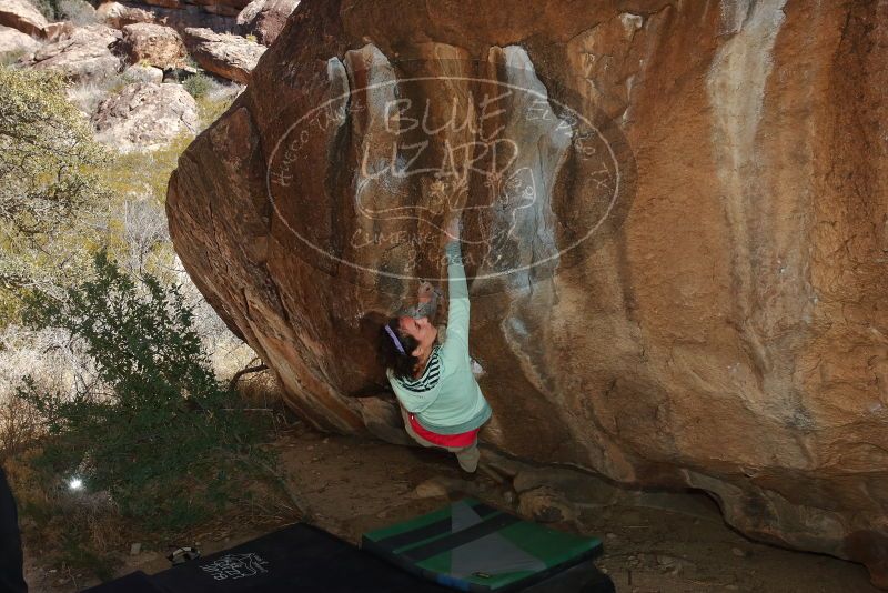 Bouldering in Hueco Tanks on 02/16/2020 with Blue Lizard Climbing and Yoga

Filename: SRM_20200216_1452160.jpg
Aperture: f/8.0
Shutter Speed: 1/250
Body: Canon EOS-1D Mark II
Lens: Canon EF 16-35mm f/2.8 L