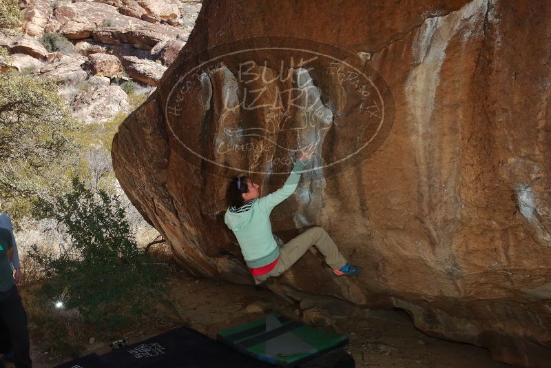 Bouldering in Hueco Tanks on 02/16/2020 with Blue Lizard Climbing and Yoga

Filename: SRM_20200216_1452240.jpg
Aperture: f/8.0
Shutter Speed: 1/250
Body: Canon EOS-1D Mark II
Lens: Canon EF 16-35mm f/2.8 L