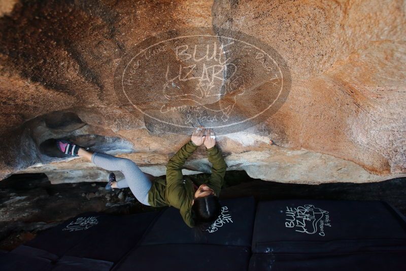 Bouldering in Hueco Tanks on 02/16/2020 with Blue Lizard Climbing and Yoga

Filename: SRM_20200216_1716330.jpg
Aperture: f/4.0
Shutter Speed: 1/250
Body: Canon EOS-1D Mark II
Lens: Canon EF 16-35mm f/2.8 L