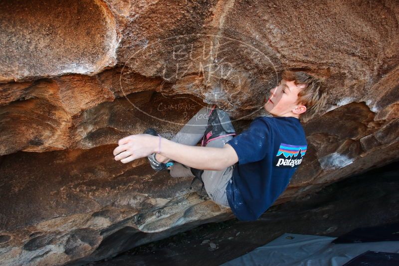 Bouldering in Hueco Tanks on 02/16/2020 with Blue Lizard Climbing and Yoga

Filename: SRM_20200216_1718410.jpg
Aperture: f/4.5
Shutter Speed: 1/250
Body: Canon EOS-1D Mark II
Lens: Canon EF 16-35mm f/2.8 L