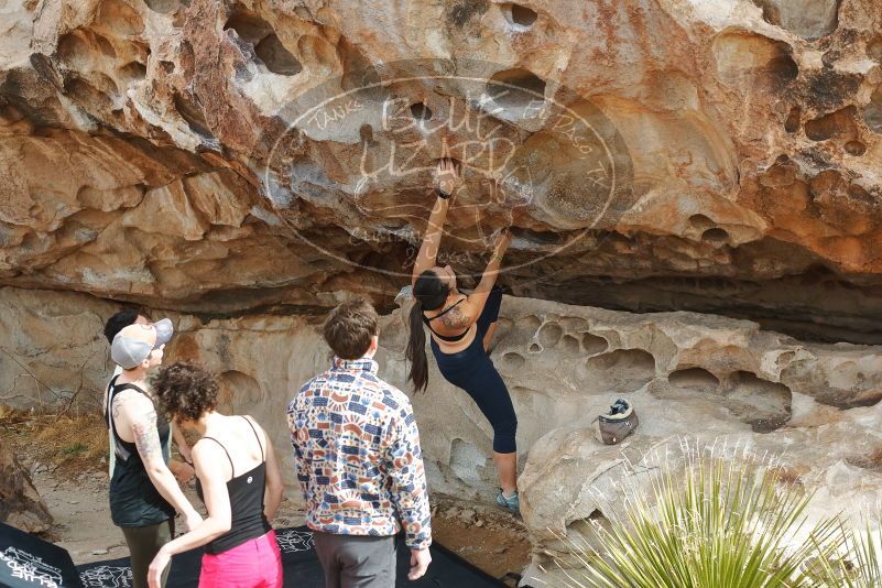 Bouldering in Hueco Tanks on 02/17/2020 with Blue Lizard Climbing and Yoga

Filename: SRM_20200217_1230300.jpg
Aperture: f/3.5
Shutter Speed: 1/400
Body: Canon EOS-1D Mark II
Lens: Canon EF 50mm f/1.8 II