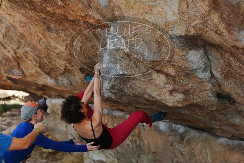 Bouldering in Hueco Tanks on 02/17/2020 with Blue Lizard Climbing and Yoga

Filename: SRM_20200217_1334210.jpg
Aperture: f/4.0
Shutter Speed: 1/400
Body: Canon EOS-1D Mark II
Lens: Canon EF 50mm f/1.8 II