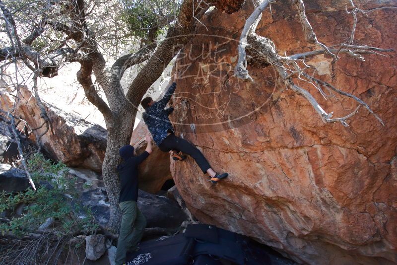 Bouldering in Hueco Tanks on 02/25/2020 with Blue Lizard Climbing and Yoga

Filename: SRM_20200225_1127100.jpg
Aperture: f/5.6
Shutter Speed: 1/250
Body: Canon EOS-1D Mark II
Lens: Canon EF 16-35mm f/2.8 L