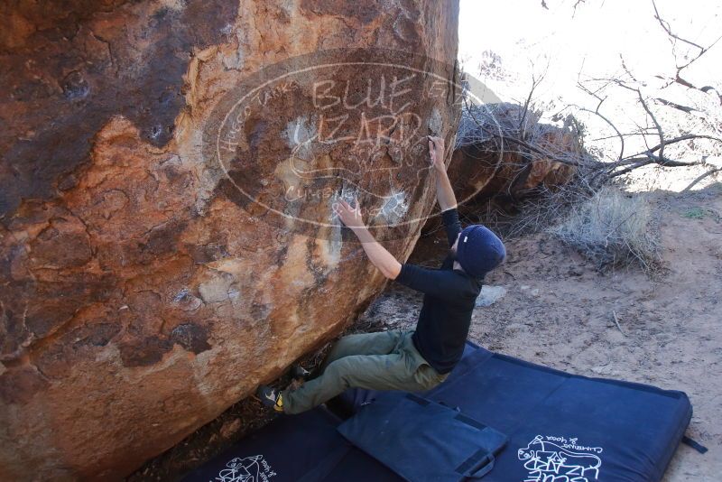 Bouldering in Hueco Tanks on 02/25/2020 with Blue Lizard Climbing and Yoga

Filename: SRM_20200225_1131560.jpg
Aperture: f/4.0
Shutter Speed: 1/250
Body: Canon EOS-1D Mark II
Lens: Canon EF 16-35mm f/2.8 L