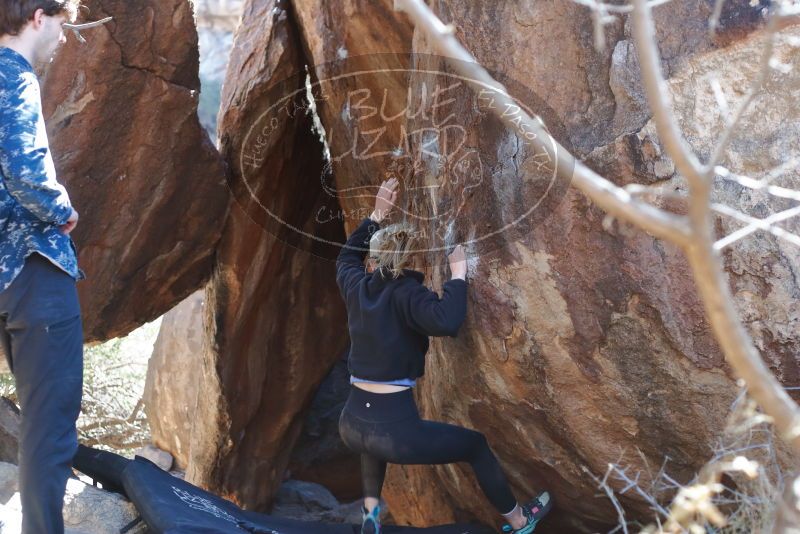 Bouldering in Hueco Tanks on 02/25/2020 with Blue Lizard Climbing and Yoga

Filename: SRM_20200225_1144020.jpg
Aperture: f/3.2
Shutter Speed: 1/250
Body: Canon EOS-1D Mark II
Lens: Canon EF 50mm f/1.8 II