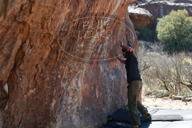 Bouldering in Hueco Tanks on 02/25/2020 with Blue Lizard Climbing and Yoga

Filename: SRM_20200225_1205321.jpg
Aperture: f/3.2
Shutter Speed: 1/400
Body: Canon EOS-1D Mark II
Lens: Canon EF 50mm f/1.8 II