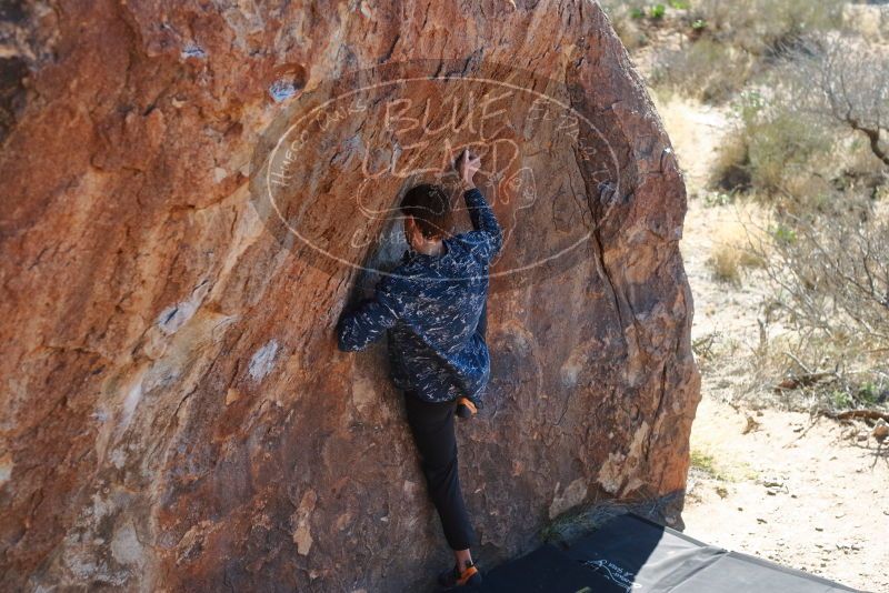 Bouldering in Hueco Tanks on 02/25/2020 with Blue Lizard Climbing and Yoga

Filename: SRM_20200225_1209100.jpg
Aperture: f/3.5
Shutter Speed: 1/320
Body: Canon EOS-1D Mark II
Lens: Canon EF 50mm f/1.8 II