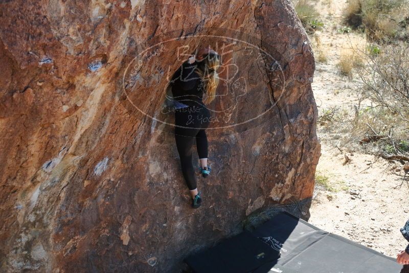 Bouldering in Hueco Tanks on 02/25/2020 with Blue Lizard Climbing and Yoga

Filename: SRM_20200225_1211180.jpg
Aperture: f/5.0
Shutter Speed: 1/320
Body: Canon EOS-1D Mark II
Lens: Canon EF 50mm f/1.8 II