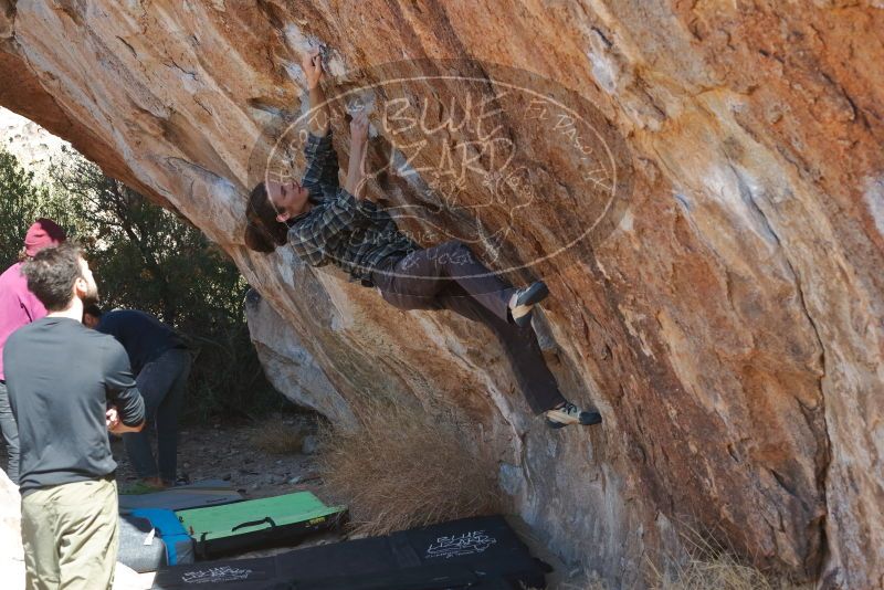 Bouldering in Hueco Tanks on 02/25/2020 with Blue Lizard Climbing and Yoga

Filename: SRM_20200225_1227050.jpg
Aperture: f/4.5
Shutter Speed: 1/320
Body: Canon EOS-1D Mark II
Lens: Canon EF 50mm f/1.8 II