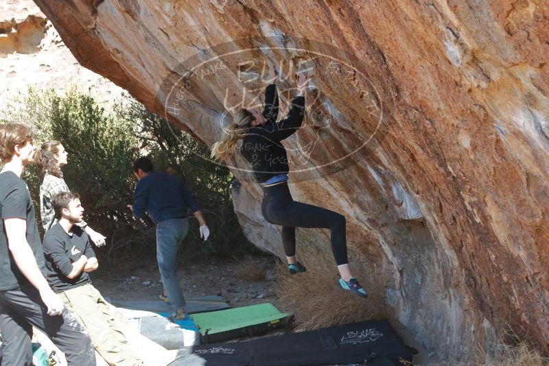 Bouldering in Hueco Tanks on 02/25/2020 with Blue Lizard Climbing and Yoga

Filename: SRM_20200225_1232460.jpg
Aperture: f/4.5
Shutter Speed: 1/320
Body: Canon EOS-1D Mark II
Lens: Canon EF 50mm f/1.8 II