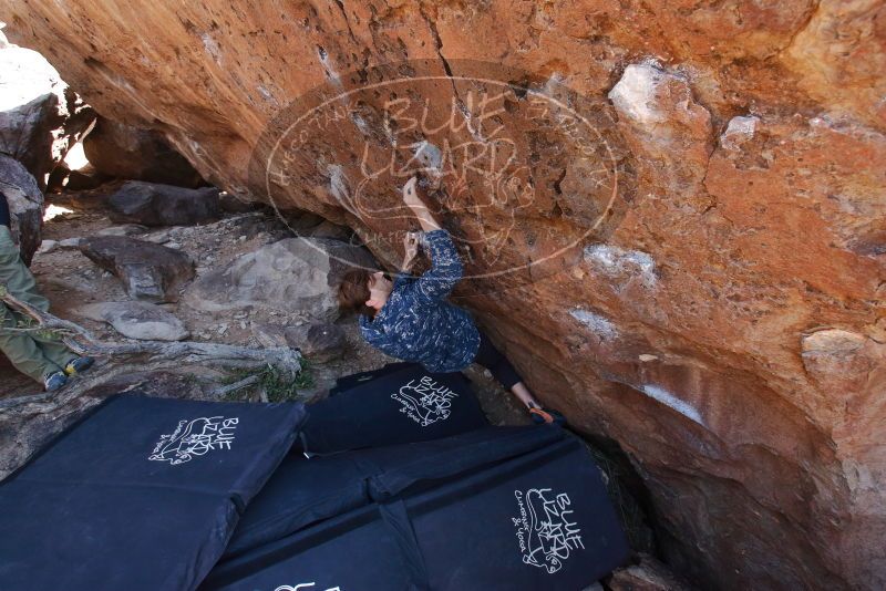 Bouldering in Hueco Tanks on 02/25/2020 with Blue Lizard Climbing and Yoga

Filename: SRM_20200225_1339530.jpg
Aperture: f/5.0
Shutter Speed: 1/250
Body: Canon EOS-1D Mark II
Lens: Canon EF 16-35mm f/2.8 L