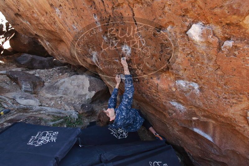 Bouldering in Hueco Tanks on 02/25/2020 with Blue Lizard Climbing and Yoga

Filename: SRM_20200225_1340260.jpg
Aperture: f/5.0
Shutter Speed: 1/250
Body: Canon EOS-1D Mark II
Lens: Canon EF 16-35mm f/2.8 L