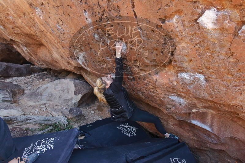 Bouldering in Hueco Tanks on 02/25/2020 with Blue Lizard Climbing and Yoga

Filename: SRM_20200225_1343160.jpg
Aperture: f/4.5
Shutter Speed: 1/250
Body: Canon EOS-1D Mark II
Lens: Canon EF 16-35mm f/2.8 L