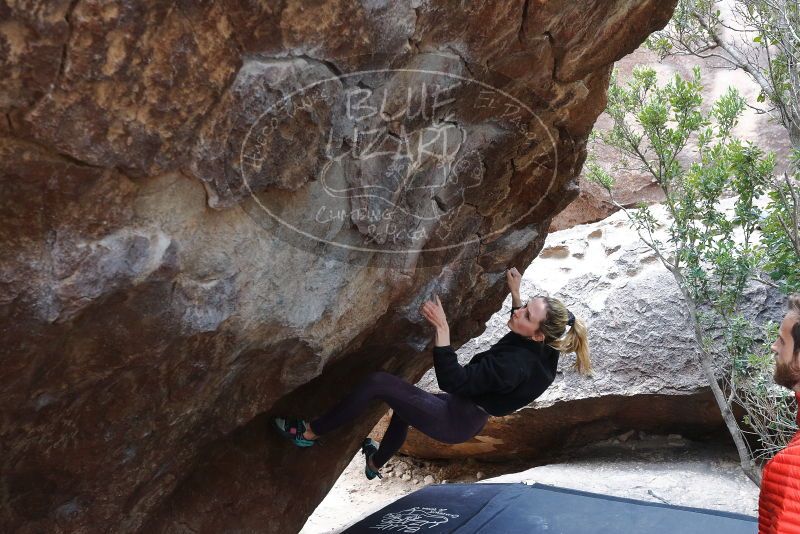 Bouldering in Hueco Tanks on 02/28/2020 with Blue Lizard Climbing and Yoga

Filename: SRM_20200228_1312130.jpg
Aperture: f/4.5
Shutter Speed: 1/250
Body: Canon EOS-1D Mark II
Lens: Canon EF 16-35mm f/2.8 L