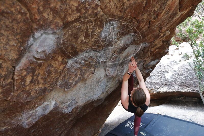 Bouldering in Hueco Tanks on 02/28/2020 with Blue Lizard Climbing and Yoga

Filename: SRM_20200228_1316570.jpg
Aperture: f/4.5
Shutter Speed: 1/250
Body: Canon EOS-1D Mark II
Lens: Canon EF 16-35mm f/2.8 L