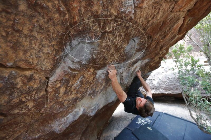 Bouldering in Hueco Tanks on 02/28/2020 with Blue Lizard Climbing and Yoga

Filename: SRM_20200228_1335171.jpg
Aperture: f/4.5
Shutter Speed: 1/250
Body: Canon EOS-1D Mark II
Lens: Canon EF 16-35mm f/2.8 L