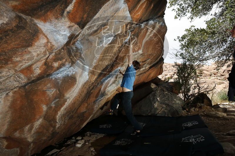 Bouldering in Hueco Tanks on 02/28/2020 with Blue Lizard Climbing and Yoga

Filename: SRM_20200228_1417070.jpg
Aperture: f/8.0
Shutter Speed: 1/250
Body: Canon EOS-1D Mark II
Lens: Canon EF 16-35mm f/2.8 L