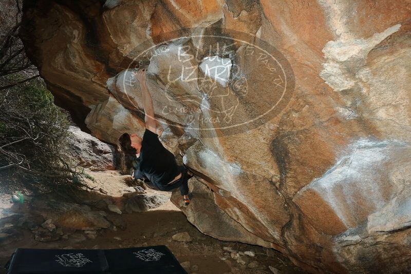 Bouldering in Hueco Tanks on 02/28/2020 with Blue Lizard Climbing and Yoga

Filename: SRM_20200228_1420420.jpg
Aperture: f/8.0
Shutter Speed: 1/250
Body: Canon EOS-1D Mark II
Lens: Canon EF 16-35mm f/2.8 L