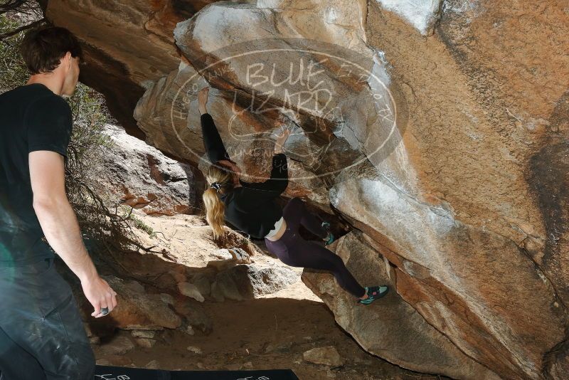 Bouldering in Hueco Tanks on 02/28/2020 with Blue Lizard Climbing and Yoga

Filename: SRM_20200228_1421360.jpg
Aperture: f/8.0
Shutter Speed: 1/250
Body: Canon EOS-1D Mark II
Lens: Canon EF 16-35mm f/2.8 L