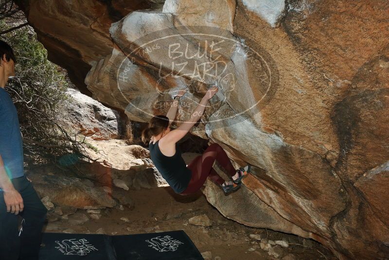 Bouldering in Hueco Tanks on 02/28/2020 with Blue Lizard Climbing and Yoga

Filename: SRM_20200228_1423310.jpg
Aperture: f/8.0
Shutter Speed: 1/250
Body: Canon EOS-1D Mark II
Lens: Canon EF 16-35mm f/2.8 L