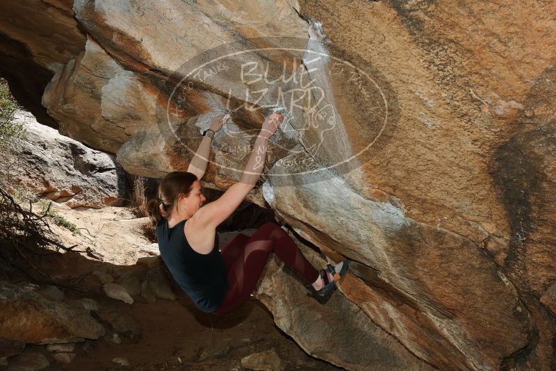 Bouldering in Hueco Tanks on 02/28/2020 with Blue Lizard Climbing and Yoga

Filename: SRM_20200228_1423340.jpg
Aperture: f/8.0
Shutter Speed: 1/250
Body: Canon EOS-1D Mark II
Lens: Canon EF 16-35mm f/2.8 L