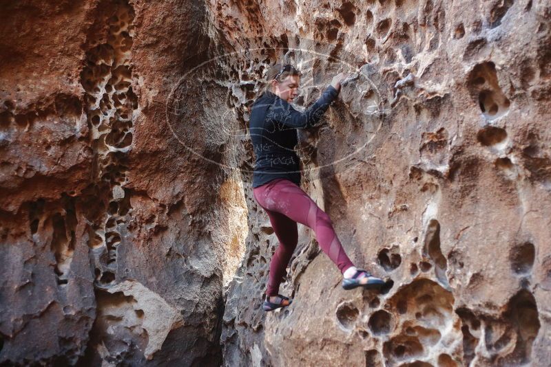 Bouldering in Hueco Tanks on 02/28/2020 with Blue Lizard Climbing and Yoga

Filename: SRM_20200228_1657131.jpg
Aperture: f/2.5
Shutter Speed: 1/100
Body: Canon EOS-1D Mark II
Lens: Canon EF 50mm f/1.8 II