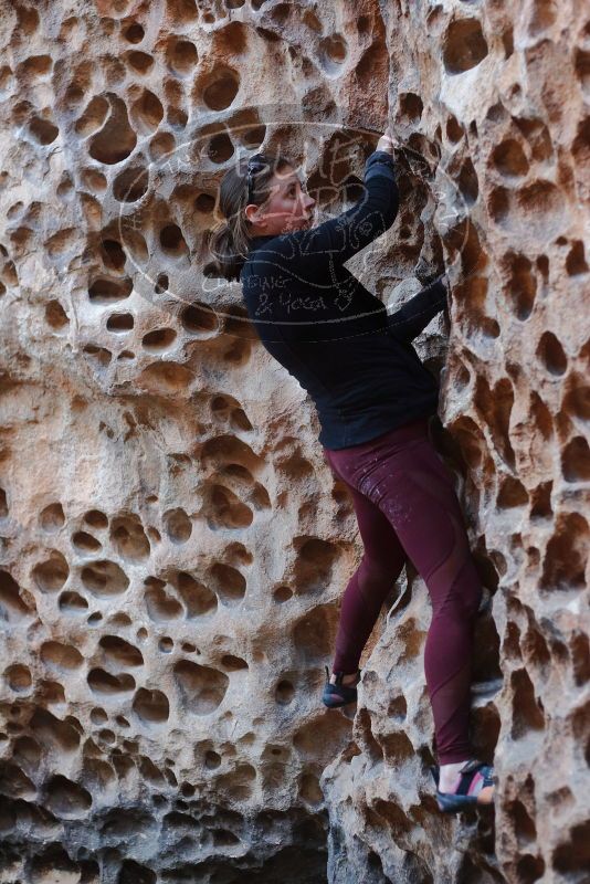 Bouldering in Hueco Tanks on 02/28/2020 with Blue Lizard Climbing and Yoga

Filename: SRM_20200228_1658030.jpg
Aperture: f/2.8
Shutter Speed: 1/100
Body: Canon EOS-1D Mark II
Lens: Canon EF 50mm f/1.8 II