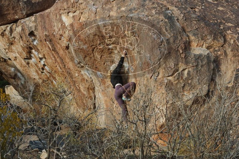 Bouldering in Hueco Tanks on 02/28/2020 with Blue Lizard Climbing and Yoga

Filename: SRM_20200228_1745550.jpg
Aperture: f/11.0
Shutter Speed: 1/100
Body: Canon EOS-1D Mark II
Lens: Canon EF 50mm f/1.8 II