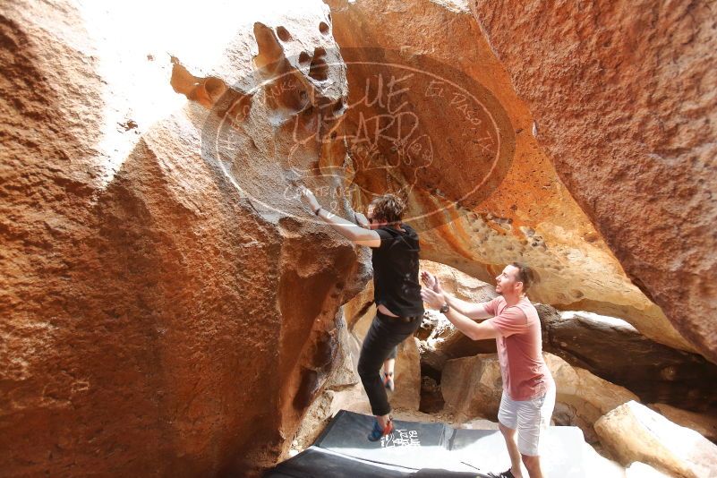 Bouldering in Hueco Tanks on 02/29/2020 with Blue Lizard Climbing and Yoga

Filename: SRM_20200229_1503500.jpg
Aperture: f/3.2
Shutter Speed: 1/200
Body: Canon EOS-1D Mark II
Lens: Canon EF 16-35mm f/2.8 L