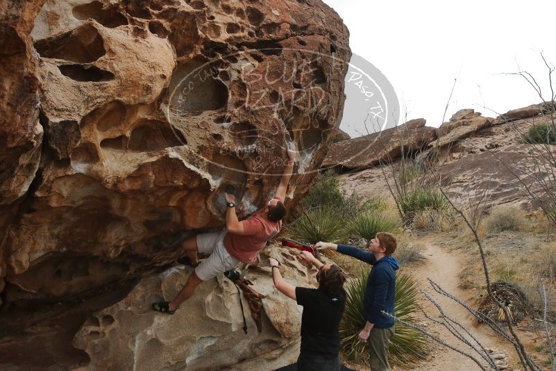 Bouldering in Hueco Tanks on 02/29/2020 with Blue Lizard Climbing and Yoga

Filename: SRM_20200229_1652300.jpg
Aperture: f/6.3
Shutter Speed: 1/400
Body: Canon EOS-1D Mark II
Lens: Canon EF 16-35mm f/2.8 L