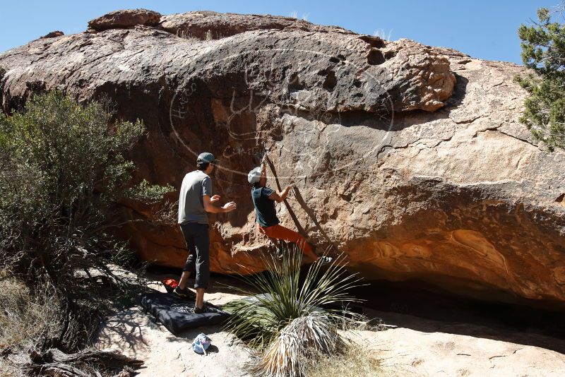 Bouldering in Hueco Tanks on 03/07/2020 with Blue Lizard Climbing and Yoga

Filename: SRM_20200307_1329100.jpg
Aperture: f/5.6
Shutter Speed: 1/500
Body: Canon EOS-1D Mark II
Lens: Canon EF 16-35mm f/2.8 L