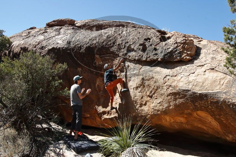 Bouldering in Hueco Tanks on 03/07/2020 with Blue Lizard Climbing and Yoga

Filename: SRM_20200307_1329190.jpg
Aperture: f/5.6
Shutter Speed: 1/500
Body: Canon EOS-1D Mark II
Lens: Canon EF 16-35mm f/2.8 L