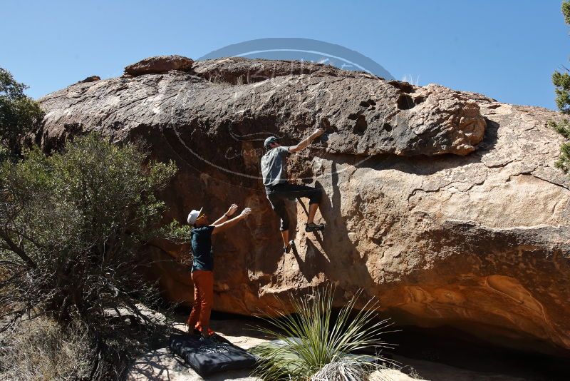 Bouldering in Hueco Tanks on 03/07/2020 with Blue Lizard Climbing and Yoga

Filename: SRM_20200307_1333111.jpg
Aperture: f/5.6
Shutter Speed: 1/640
Body: Canon EOS-1D Mark II
Lens: Canon EF 16-35mm f/2.8 L