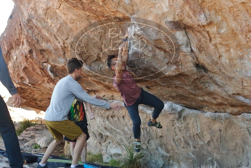 Bouldering in Hueco Tanks on 03/16/2020 with Blue Lizard Climbing and Yoga

Filename: SRM_20200316_1023170.jpg
Aperture: f/3.2
Shutter Speed: 1/500
Body: Canon EOS-1D Mark II
Lens: Canon EF 50mm f/1.8 II