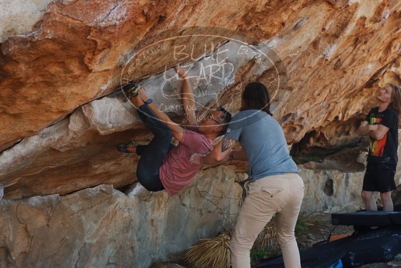 Bouldering in Hueco Tanks on 03/16/2020 with Blue Lizard Climbing and Yoga

Filename: SRM_20200316_1057440.jpg
Aperture: f/5.0
Shutter Speed: 1/500
Body: Canon EOS-1D Mark II
Lens: Canon EF 50mm f/1.8 II